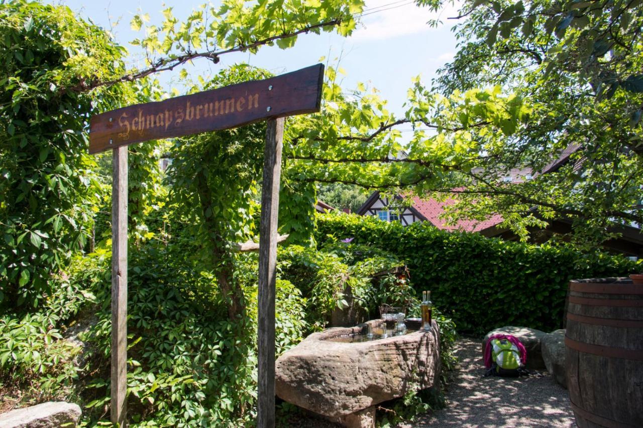 Terrassenpark Apartments Sasbachwalden Bagian luar foto